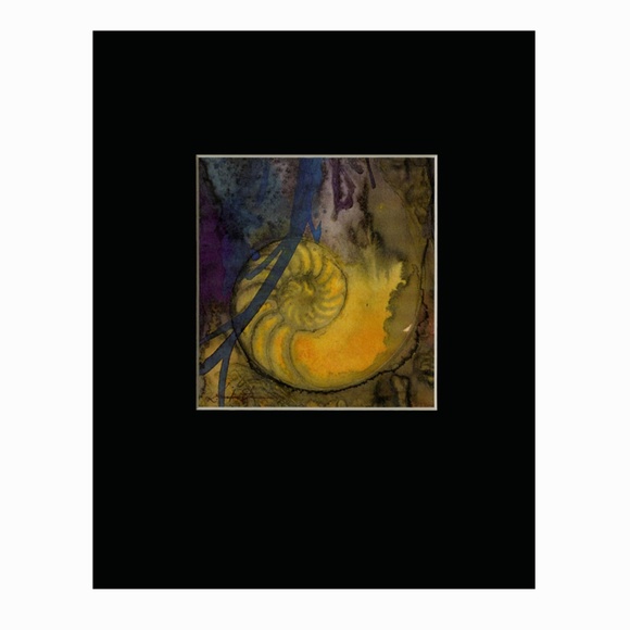 Nautilus Shell 2 In 8x10 Mat - Picture 2 of 2